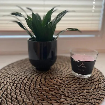 Erholungsoase Kleine Wolke Apartamento Dresden