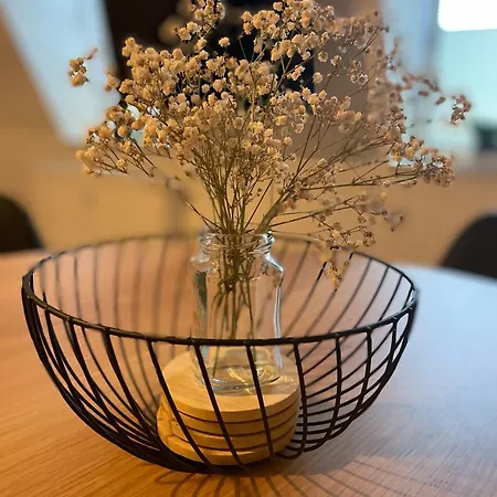 Erholungsoase Kleine Wolke * Dresden