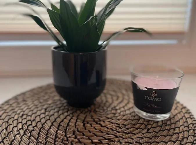 Erholungsoase Kleine Wolke Appartement Dresde