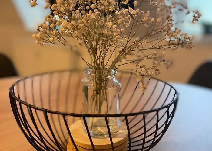 Erholungsoase Kleine Wolke * Dresde